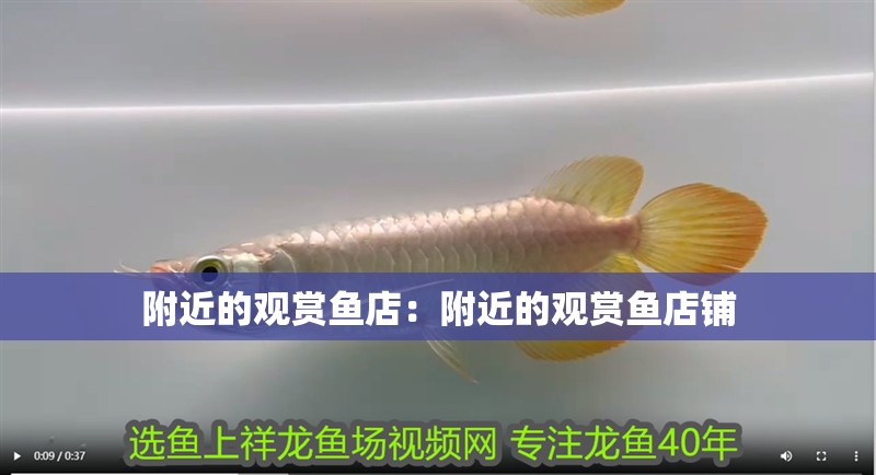 附近的觀賞魚(yú)店：附近的觀賞魚(yú)店鋪