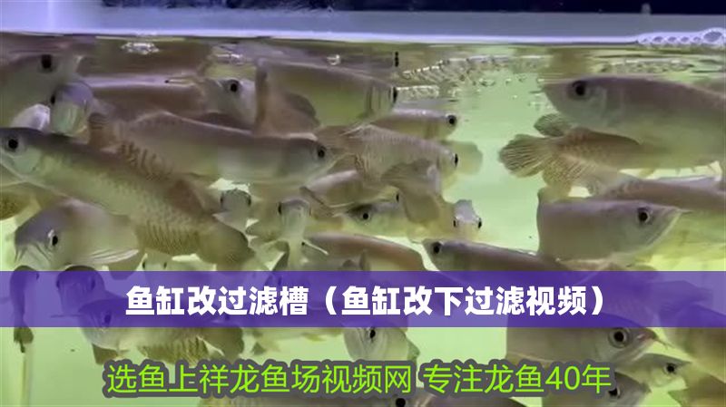 魚缸改過濾槽（魚缸改下過濾視頻） 魚缸改過濾槽（魚缸改下過濾視頻） 龍魚百科 第1張