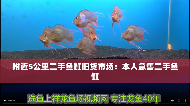 附近5公里二手魚缸舊貨市場：本人急售二手魚缸