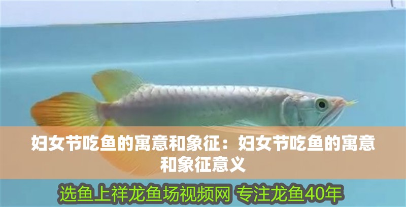 婦女節(jié)吃魚(yú)的寓意和象征：婦女節(jié)吃魚(yú)的寓意和象征意義 婦女節(jié)吃魚(yú)的寓意和象征：婦女節(jié)吃魚(yú)的寓意和象征意義 龍魚(yú)百科 第1張