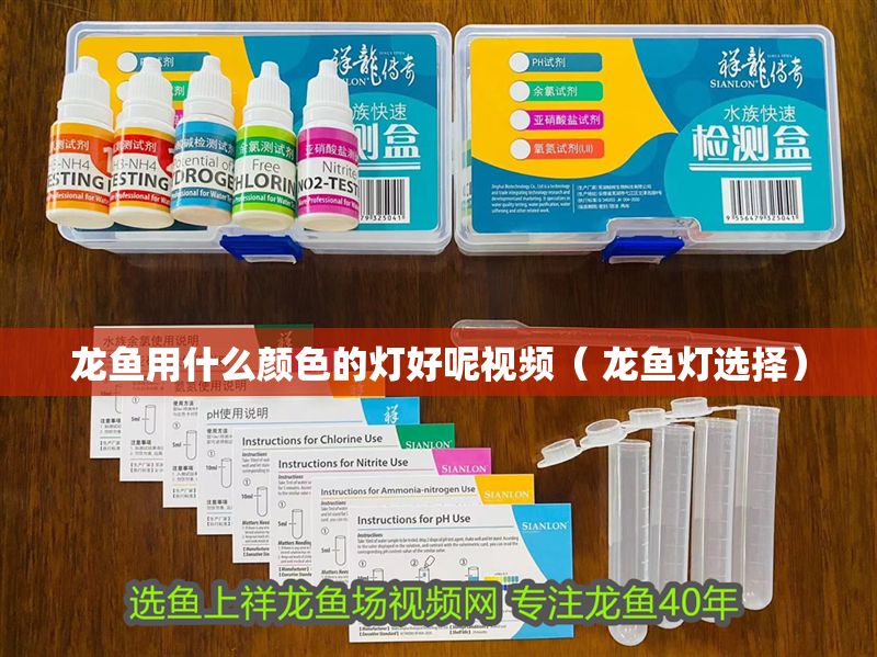 龍魚(yú)用什么顏色的燈好呢視頻（ 龍魚(yú)燈選擇）