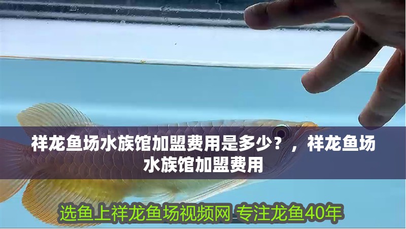 魚缸過濾器選購指南:自制魚缸過濾器魚缸上置過濾器對于養魚愛好者的必備知識 祥龍魚場水族館加盟費用是多少?,祥龍魚場水族館加盟費用 龍魚百科 祥龍魚場水族館加盟費用是多少?,祥龍魚場水族館加盟費用 祥龍魚場水族館加盟費用是多少?,祥龍魚場水族館加盟費用 龍魚百科