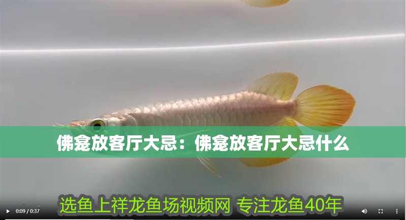 佛龕放客廳大忌：佛龕放客廳大忌什么