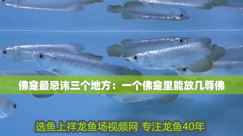 佛龕最忌諱三個地方：一個佛龕里能放幾尊佛