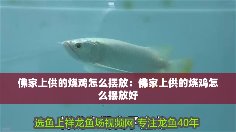 佛家上供的燒雞怎么擺放：佛家上供的燒雞怎么擺放好 佛家上供的燒雞怎么擺放：佛家上供的燒雞怎么擺放好 龍魚百科 第1張