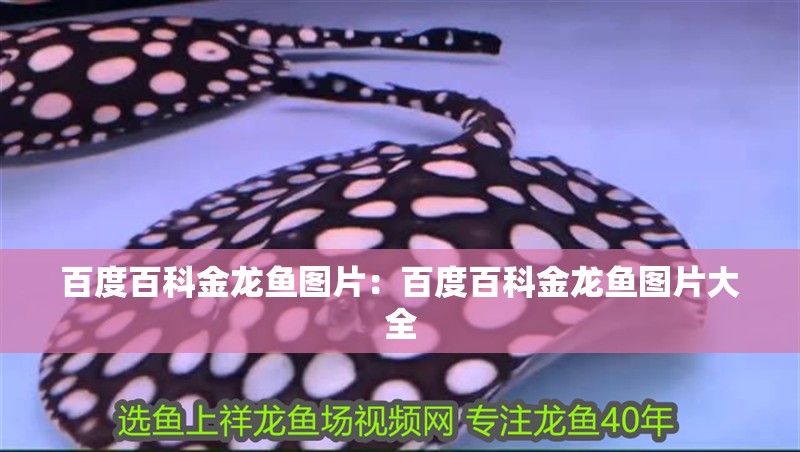 百度百科金龍魚圖片：百度百科金龍魚圖片大全