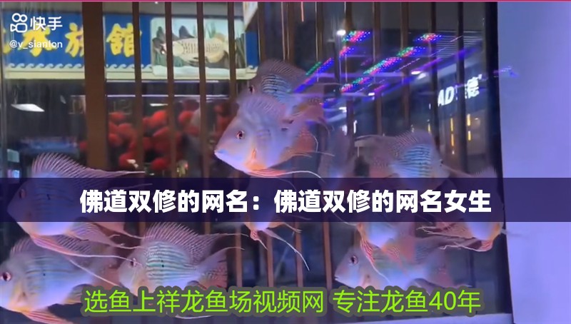 佛道雙修的網名：佛道雙修的網名女生