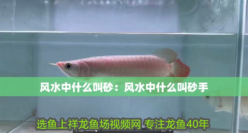 風水中什么叫砂：風水中什么叫砂手