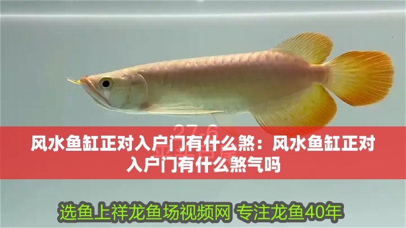 風水魚缸正對入戶門有什么煞：風水魚缸正對入戶門有什么煞氣嗎
