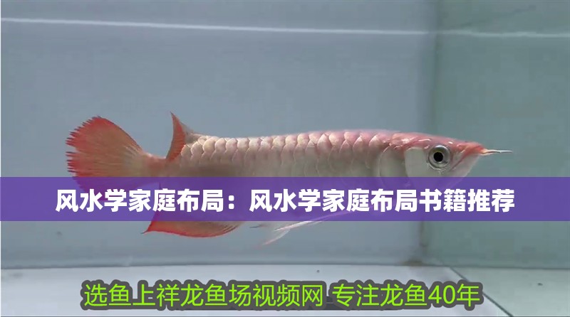 風水學家庭布局：風水學家庭布局書籍推薦