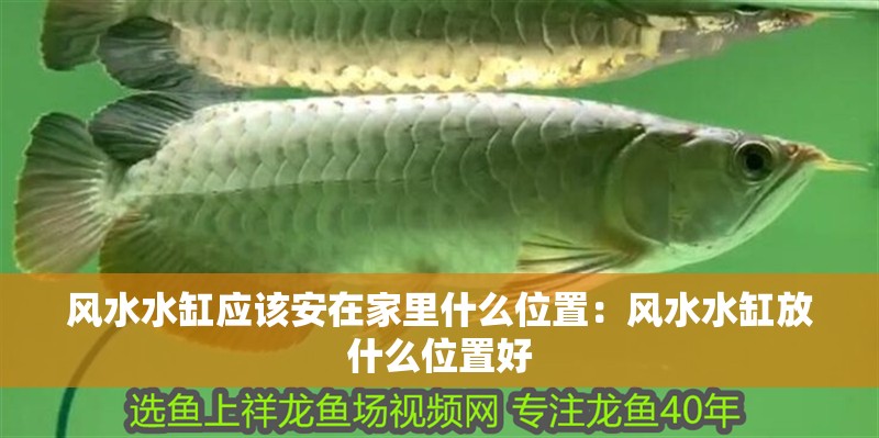 風(fēng)水水缸應(yīng)該安在家里什么位置：風(fēng)水水缸放什么位置好