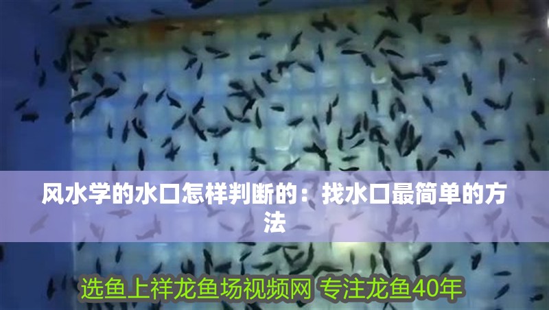 風水學的水口怎樣判斷的：找水口最簡單的方法