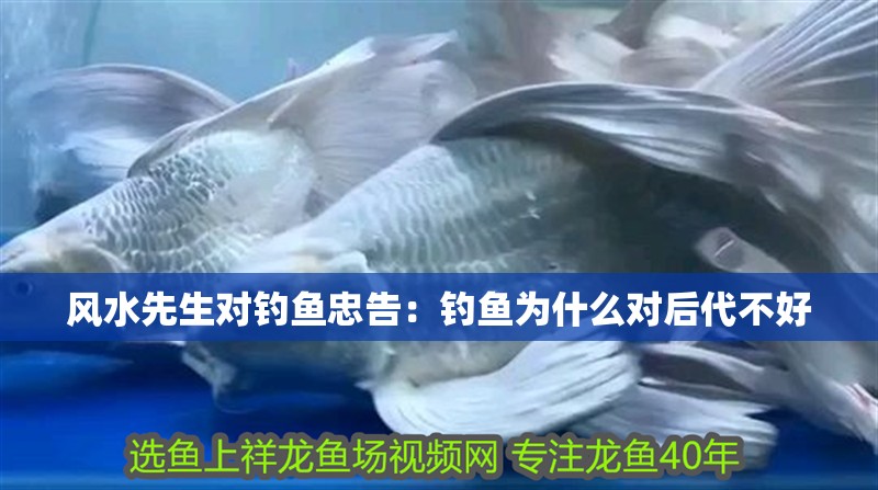 風(fēng)水先生對(duì)釣魚忠告：釣魚為什么對(duì)后代不好