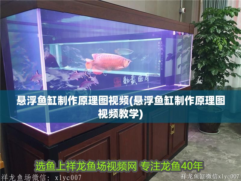 懸浮魚缸制作原理圖視頻(懸浮魚缸制作原理圖視頻教學) 懸浮魚缸制作原理圖視頻(懸浮魚缸制作原理圖視頻教學) 龍魚百科 第1張