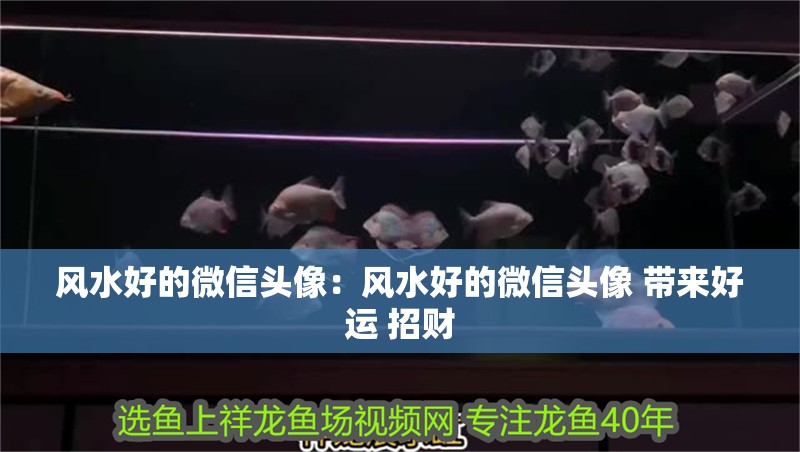 風水好的微信頭像：風水好的微信頭像 帶來好運 招財