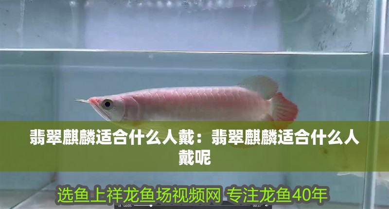 翡翠麒麟適合什么人戴：翡翠麒麟適合什么人戴呢 翡翠麒麟適合什么人戴：翡翠麒麟適合什么人戴呢 龍魚百科 第2張