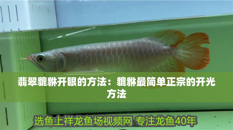 翡翠貔貅開眼的方法：貔貅最簡單正宗的開光方法