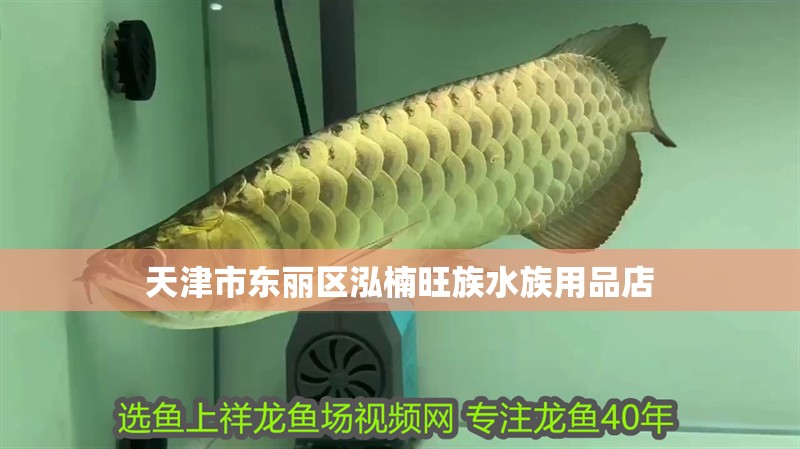 天津市東麗區泓楠旺族水族用品店