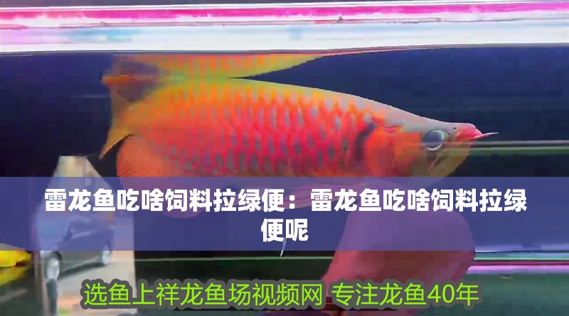 雷龍魚吃啥飼料拉綠便：雷龍魚吃啥飼料拉綠便呢