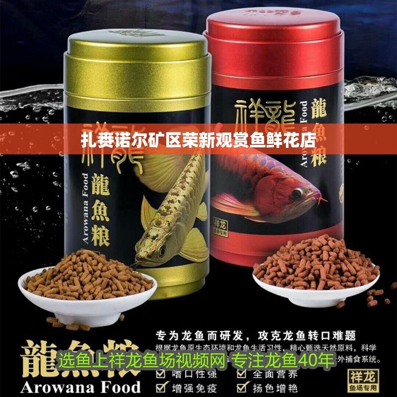 扎賚諾爾礦區榮新觀賞魚鮮花店