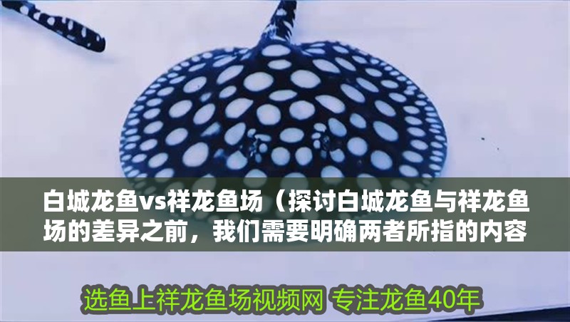 白城龍魚vs祥龍魚場（探討白城龍魚與祥龍魚場的差異之前，我們需要明確兩者所指的內容） 白城龍魚vs祥龍魚場（探討白城龍魚與祥龍魚場的差異之前，我們需要明確兩者所指的內容） 全國水族館企業名錄 第1張