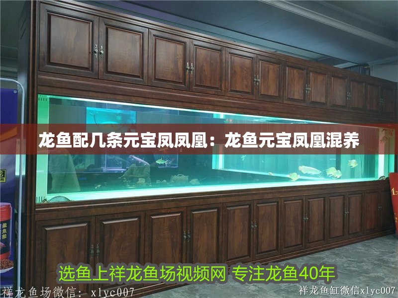 伊罕過濾桶用什么濾材好?(除了伊罕桶還有什么濾筒好)