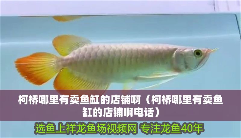 柯橋哪里有賣魚缸的店鋪啊（柯橋哪里有賣魚缸的店鋪啊電話）