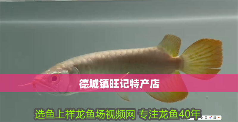 德城鎮旺記特產店 德城鎮旺記特產店 全國水族館企業名錄 第2張