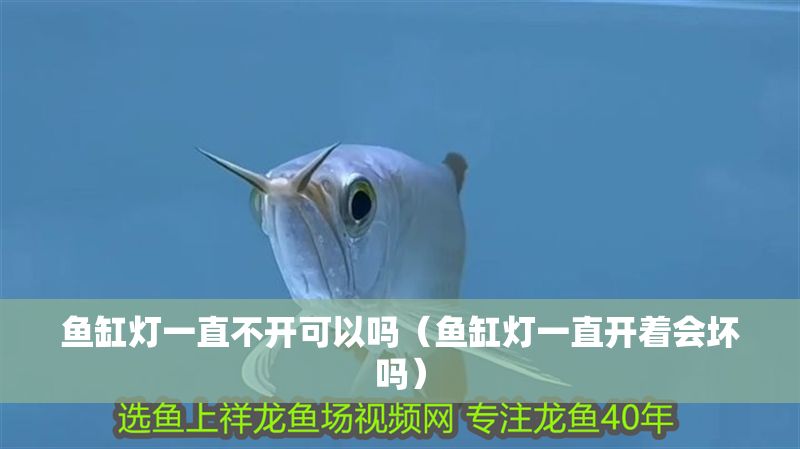 魚缸燈一直不開可以嗎（魚缸燈一直開著會壞嗎）