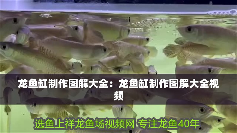 龍魚缸制作圖解大全：龍魚缸制作圖解大全視頻