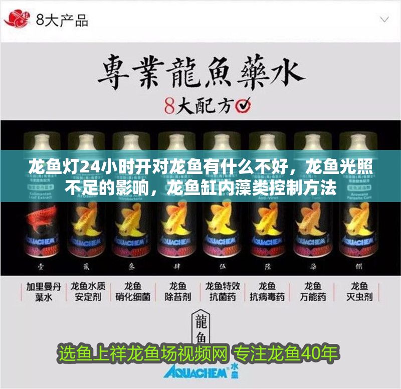 龍魚燈24小時開對龍魚有什么不好，龍魚光照不足的影響，龍魚缸內藻類控制方法 龍魚燈24小時開對龍魚有什么不好，龍魚光照不足的影響，龍魚缸內藻類控制方法 龍魚百科 第2張