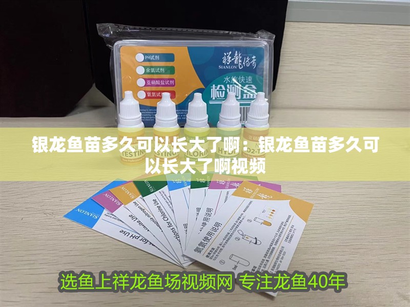 銀龍魚苗多久可以長大了啊：銀龍魚苗多久可以長大了啊視頻