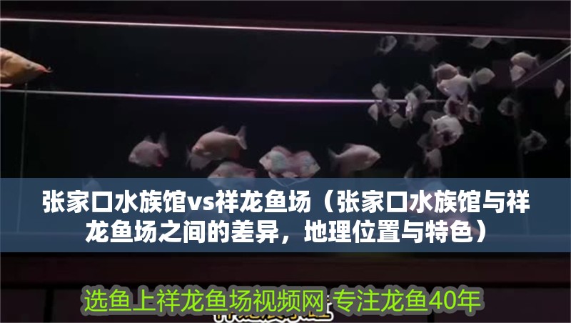張家口水族館vs祥龍魚場（張家口水族館與祥龍魚場之間的差異，地理位置與特色）