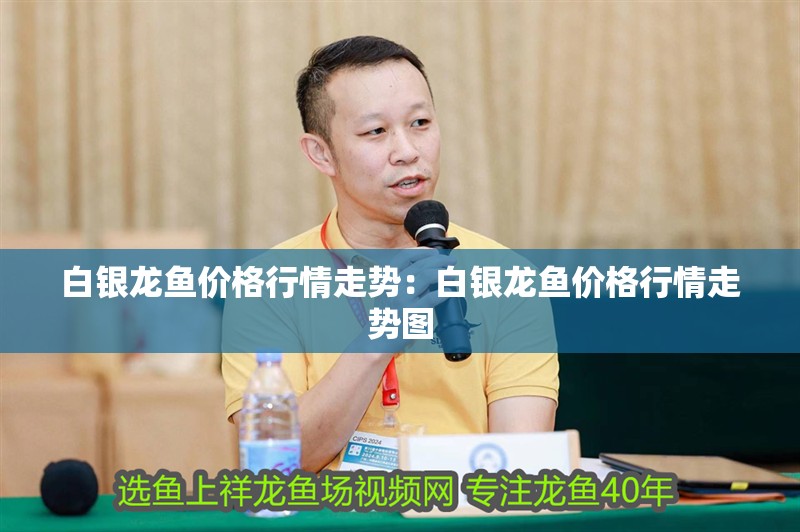 白銀龍魚價格行情走勢：白銀龍魚價格行情走勢圖 白銀龍魚價格行情走勢：白銀龍魚價格行情走勢圖 水族問答