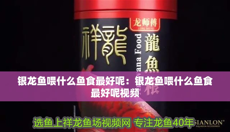 銀龍魚喂什么魚食最好呢：銀龍魚喂什么魚食最好呢視頻