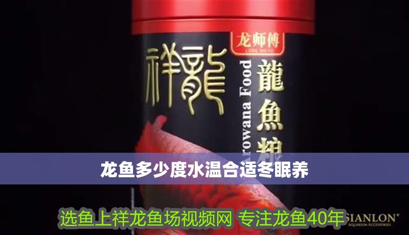 龍魚多少度水溫合適冬眠養(yǎng)