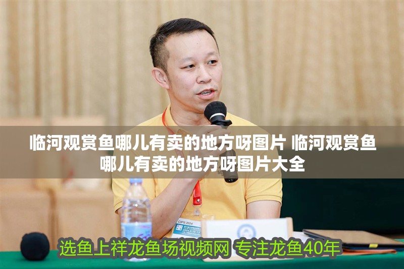 臨河觀賞魚哪兒有賣的地方呀圖片 臨河觀賞魚哪兒有賣的地方呀圖片大全