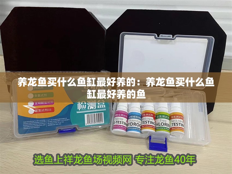 養(yǎng)龍魚(yú)買什么魚(yú)缸最好養(yǎng)的：養(yǎng)龍魚(yú)買什么魚(yú)缸最好養(yǎng)的魚(yú)