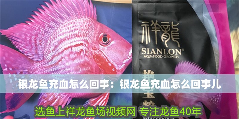 銀龍魚充血怎么回事：銀龍魚充血怎么回事兒
