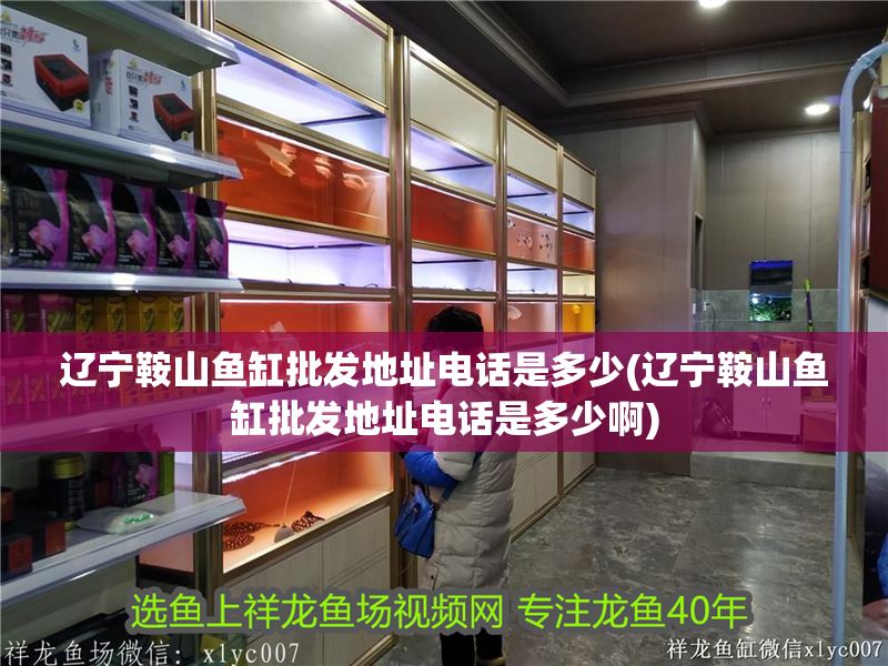 遼寧<strong><mark>鞍山</mark></strong>魚缸批發(fā)地址電話是多少(遼寧<strong><mark>鞍山</mark></strong>魚缸批發(fā)地址電話是多少啊)