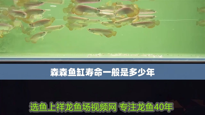 森森魚缸壽命一般是多少年