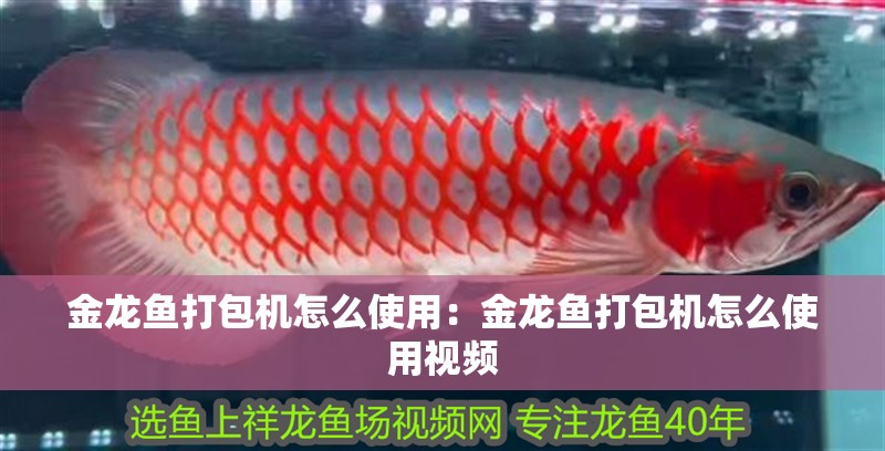 金龍魚打包機怎么使用：金龍魚打包機怎么使用視頻