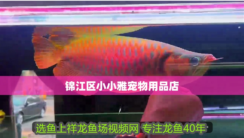 錦江區小小雅寵物用品店 全國水族館企業名錄 第2張 錦江區小小雅寵物用品店 錦江區小小雅寵物用品店 全國水族館企業名錄 第2張