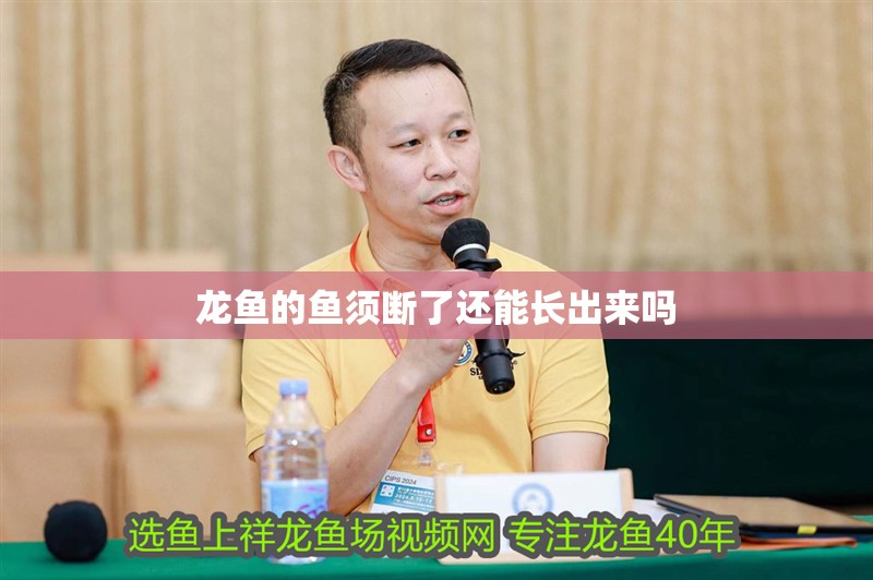 龍魚(yú)的魚(yú)須斷了還能長(zhǎng)出來(lái)嗎