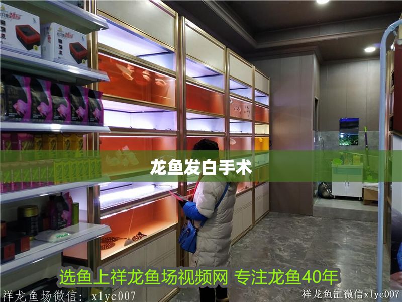 龍魚(yú)發(fā)白手術(shù)
