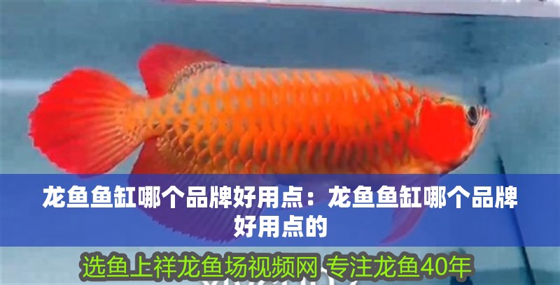 龍魚魚缸哪個品牌好用點：龍魚魚缸哪個品牌好用點的 龍魚魚缸哪個品牌好用點：龍魚魚缸哪個品牌好用點的 水族問答