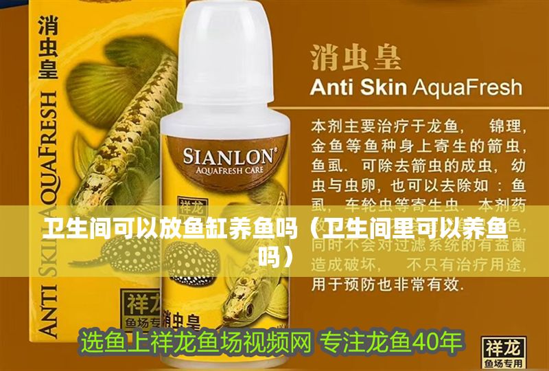 衛(wèi)生間可以放魚缸養(yǎng)魚嗎（衛(wèi)生間里可以養(yǎng)魚嗎）