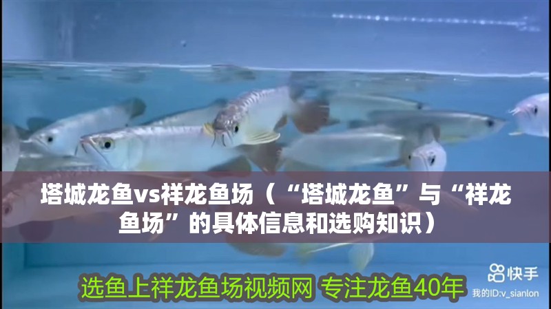 塔城龍魚vs祥龍魚場（“塔城龍魚”與“祥龍魚場”的具體信息和選購知識）