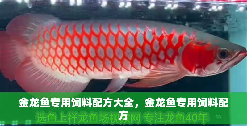 金龍魚專用飼料配方大全，金龍魚專用飼料配方
