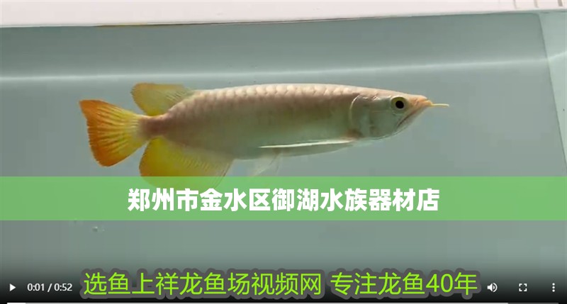 鄭州市金水區(qū)御湖水族器材店 鄭州市金水區(qū)御湖水族器材店 全國(guó)水族館企業(yè)名錄 第2張